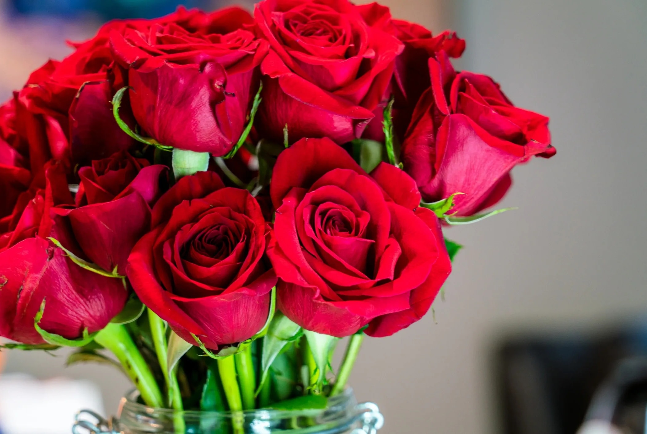 One Dozen Roses